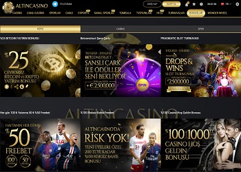 Altın Casino Screenshot